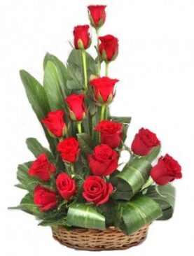 Basket Arrangement of 15 Red Roses