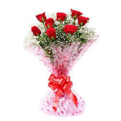 Floralbay Red Roses Bouquet Fresh Flowers in Cellophane Wrapping (Bunch of 8)