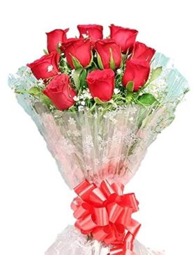 Floralbay Valentine's Day Special Fresh Flowers Red Rose Bunch in Cellophane Packing (Bunch of 10)