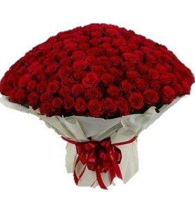 Floralbay Red Roses Bouquet Fresh Flowers in Cellophane Wrapping (Bunch of 100)